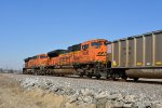 BNSF 9296 Roster shot